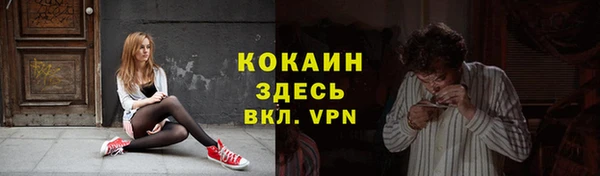 мяу мяу мука Алексин