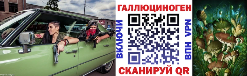 хочу   Кизел  Псилоцибиновые грибы мухоморы 